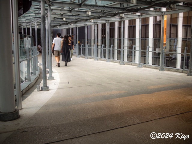 O9224020-ORF-DxO_DeepPRIME XD2_CameraRAW2_signed.jpg