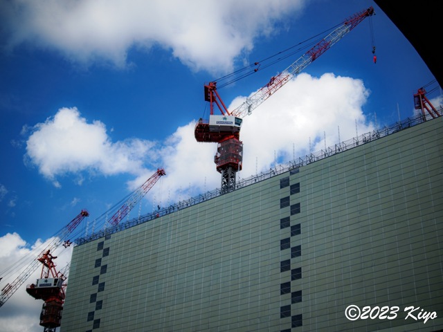 O9241117-ORF_DxO_DeepPRIMEXD_CameraRAW2_signed.jpg