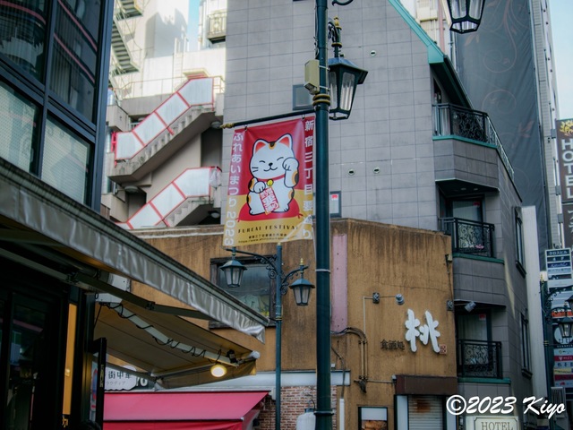 O9241118-ORF_DxO_DeepPRIMEXD_CameraRAW2_signed.jpg