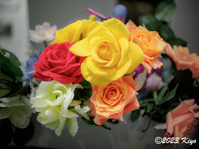 OA011381-ORF_DxO_DeepPRIMEXD_CameraRAW2_signed.jpg