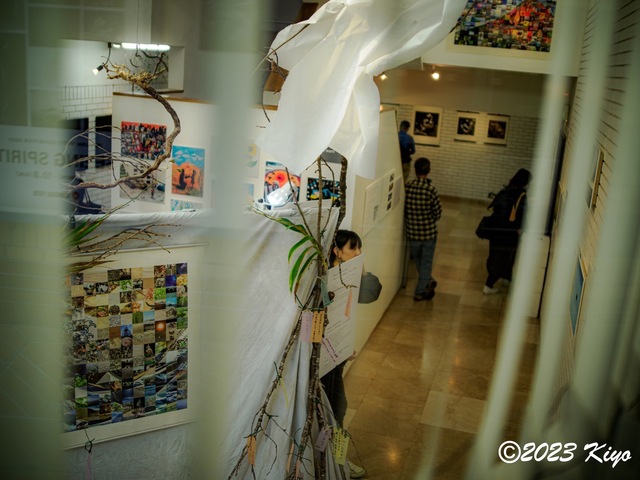 OA081469-ORF_DxO_DeepPRIMEXD_CameraRAW2_signed.jpg