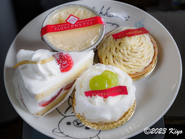 OA111497_CameraRAW2_signed.jpg
