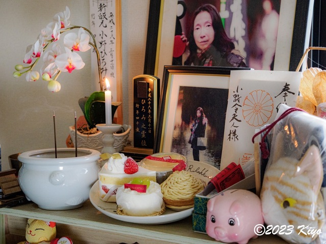 OA111503_CameraRAW2_signed.jpg