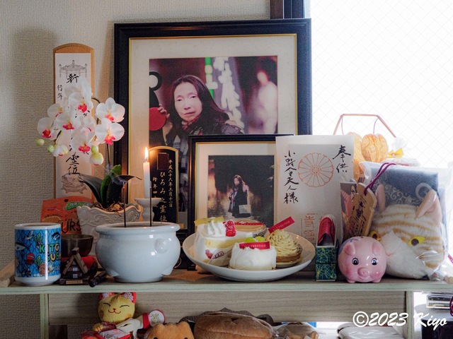 OA111504_CameraRAW2_signed.jpg