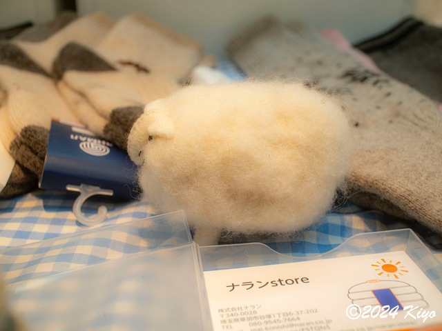 OA134512-ORF-DxO_DeepPRIME XD2_CameraRAW2_signed.jpg