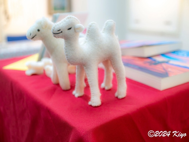 OA134523-ORF-DxO_DeepPRIME XD2_CameraRAW2_signed.jpg