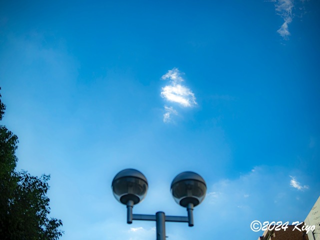 OA134573-ORF-DxO_DeepPRIME XD2_CameraRAW2_signed.jpg