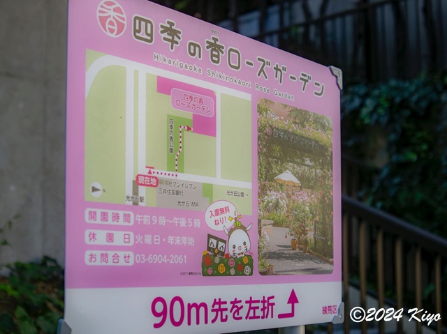 OA134588-ORF-DxO_DeepPRIME XD2_CameraRAW2_signed.jpg