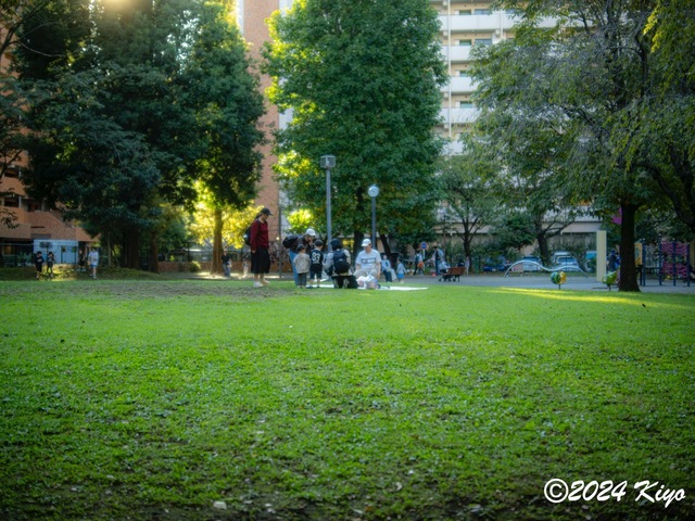 OA134595-ORF-DxO_DeepPRIME XD2_CameraRAW2_signed.jpg