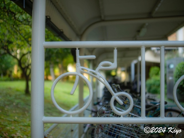 OA134598-ORF-DxO_DeepPRIME XD2_CameraRAW2_signed.jpg