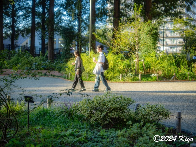 OA134608-ORF-DxO_DeepPRIME XD2_CameraRAW2_signed.jpg