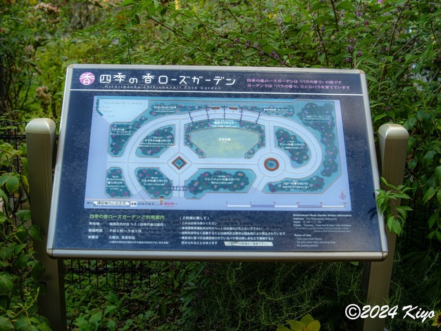 OA134682-ORF-DxO_DeepPRIME XD2_CameraRAW2_signed.jpg