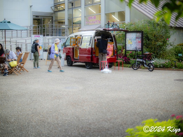 OA134688-ORF-DxO_DeepPRIME XD2_CameraRAW2_signed.jpg