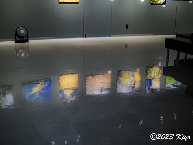 OA141557-ORF_DxO_DeepPRIMEXD_CameraRAW2_signed.jpg