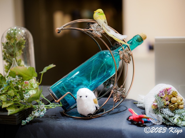 OA141561-ORF_DxO_DeepPRIMEXD_CameraRAW2_signed.jpg