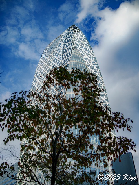 OA141564-ORF_DxO_DeepPRIMEXD_CameraRAW2_signed.jpg