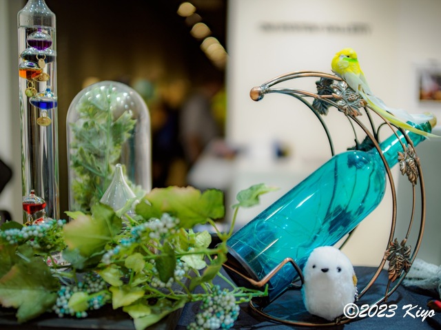 OA151585-ORF_DxO_DeepPRIMEXD_CameraRAW2_signed.jpg