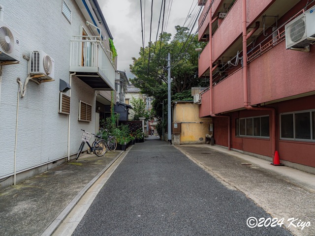 OA260139-DxO_DeepPRIME XD2s_CameraRAW17_signed.jpg