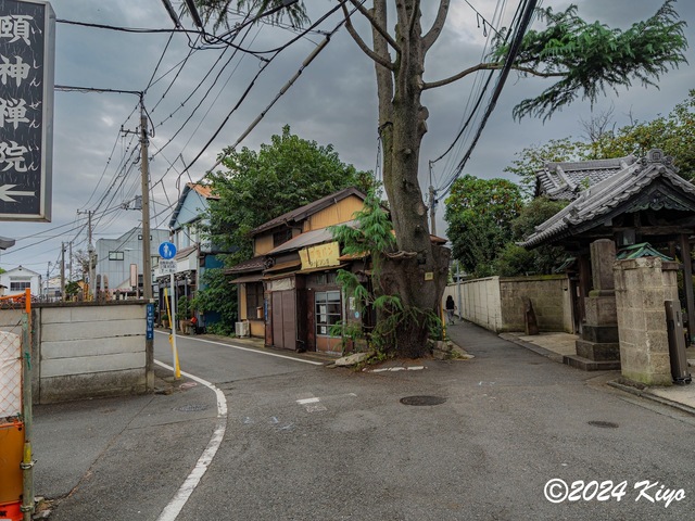 OA260146-DxO_DeepPRIME XD2s_CameraRAW17_signed.jpg