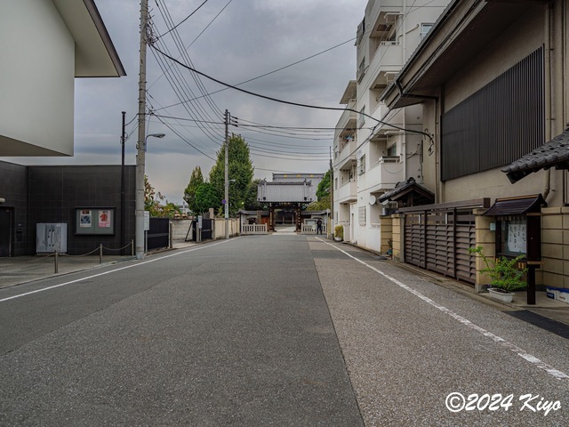 OA260149-DxO_DeepPRIME XD2s_CameraRAW17_signed.jpg