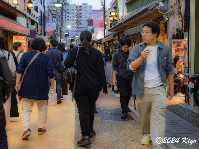 OA260193-DxO_DeepPRIME XD2s_CameraRAW17_signed.jpg