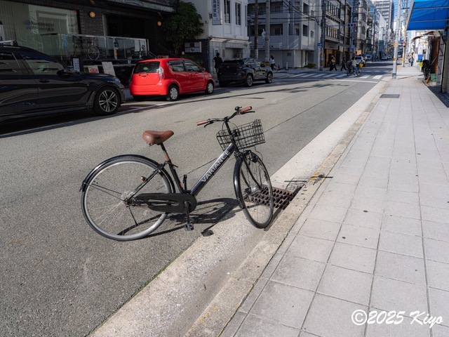 OB090587-DxO_DeepPRIME XD2s_CameraRAW17_signed.jpg