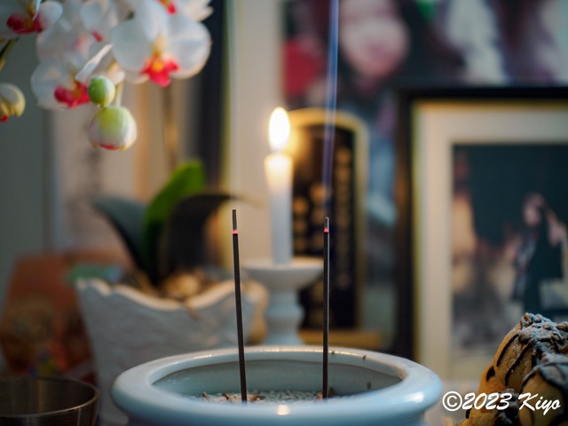OB111691-ORF_DxO_DeepPRIMEXD_CameraRAW2_signed.jpg