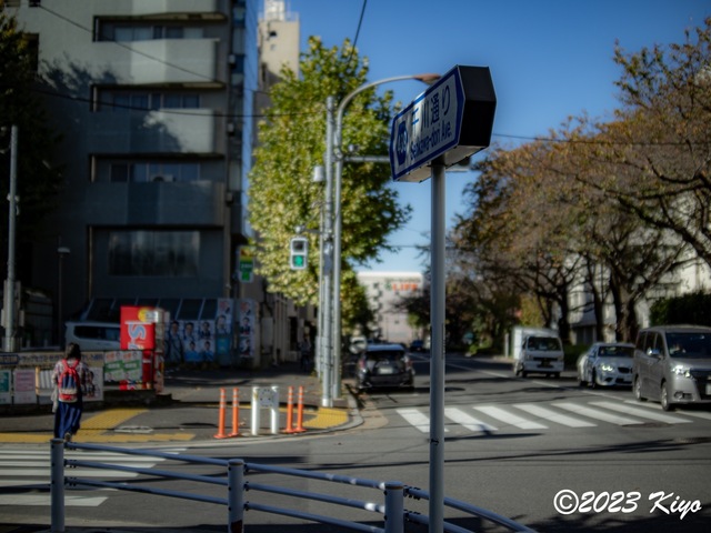 OB181695-ORF_DxO_DeepPRIMEXD_CameraRAW2_signed.jpg