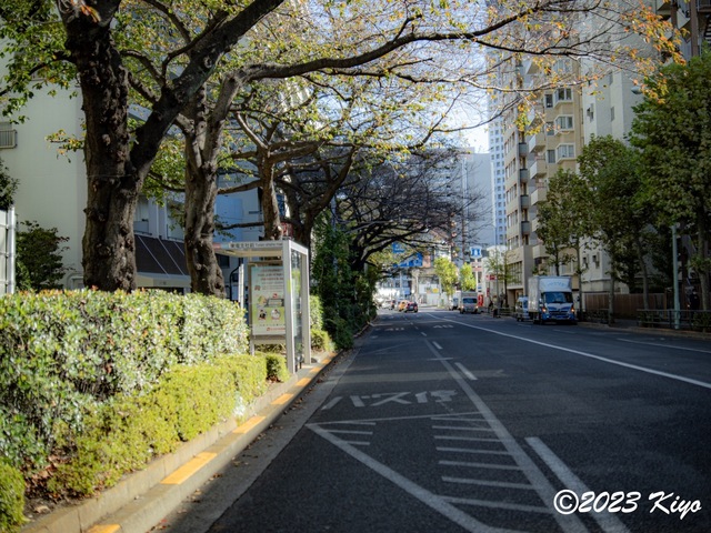 OB181697-ORF_DxO_DeepPRIMEXD_CameraRAW2_signed.jpg