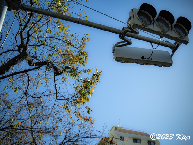 OB181699-ORF_DxO_DeepPRIMEXD_CameraRAW2_signed.jpg