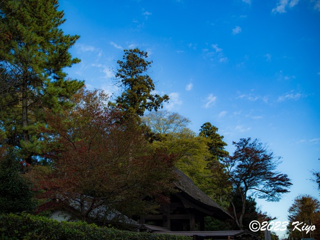 OB250004-ORF_DxO_DeepPRIMEXD_CameraRAW2_signed.jpg