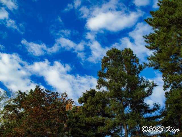 OB250011-ORF_DxO_DeepPRIMEXD_CameraRAW2_signed.jpg