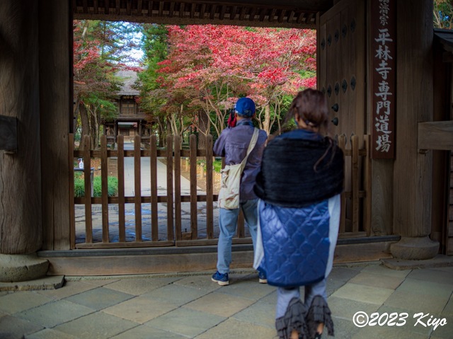 OB250020-ORF_DxO_DeepPRIMEXD_CameraRAW2_signed.jpg