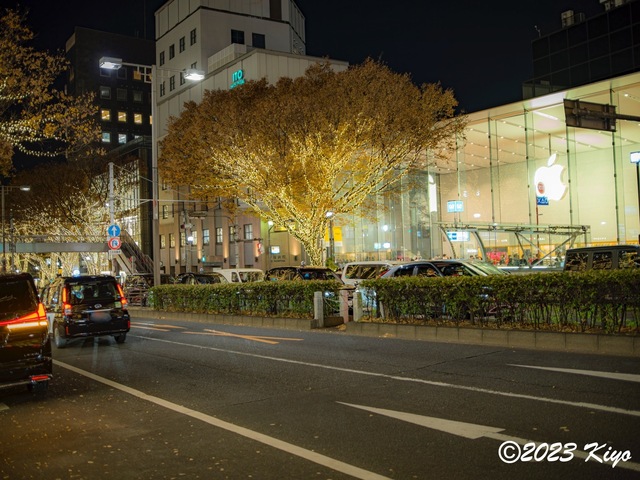 OC080357-ORF_DxO_DeepPRIMEXD_CameraRAW2_signed.jpg