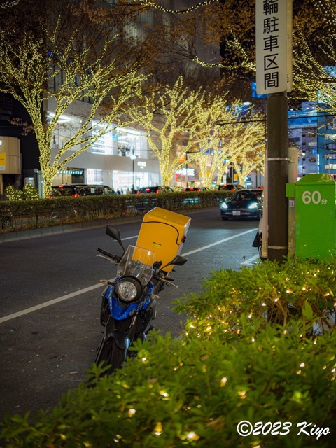 OC080365-ORF_DxO_DeepPRIMEXD_CameraRAW2_signed.jpg