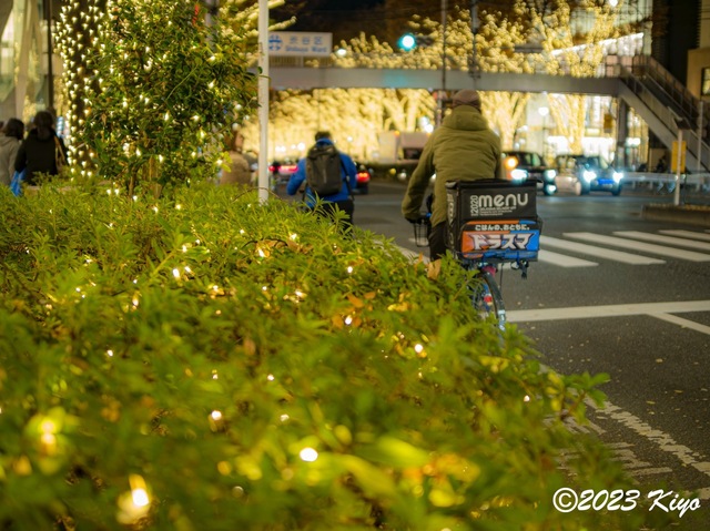 OC080372-ORF_DxO_DeepPRIMEXD_CameraRAW2_signed.jpg