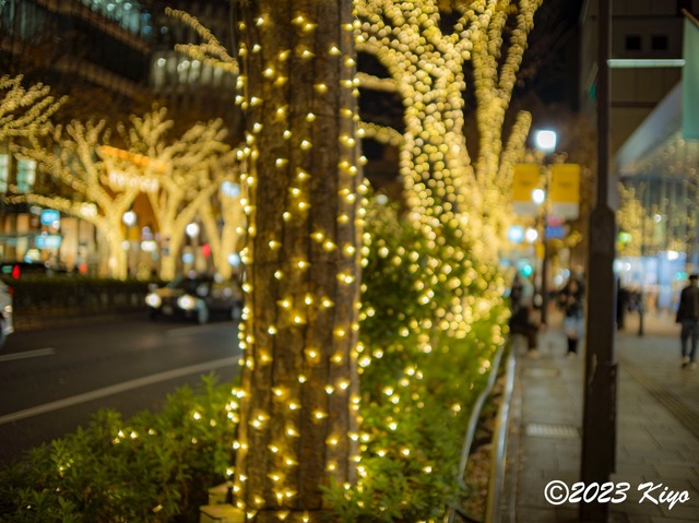 OC080408-ORF_DxO_DeepPRIMEXD_CameraRAW2_signed.jpg