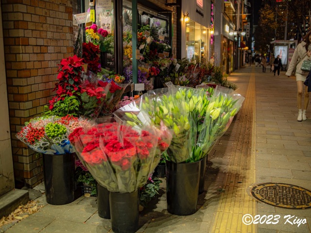 OC080427-ORF_DxO_DeepPRIMEXD_CameraRAW2_signed.jpg