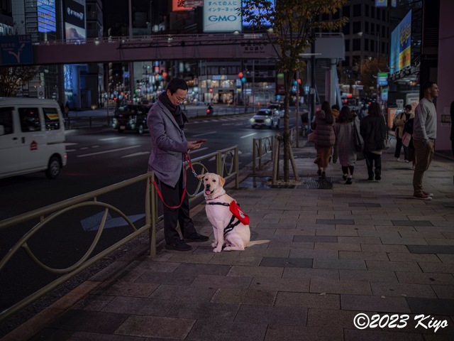 OC080450-ORF_DxO_DeepPRIMEXD_CameraRAW2_signed.jpg