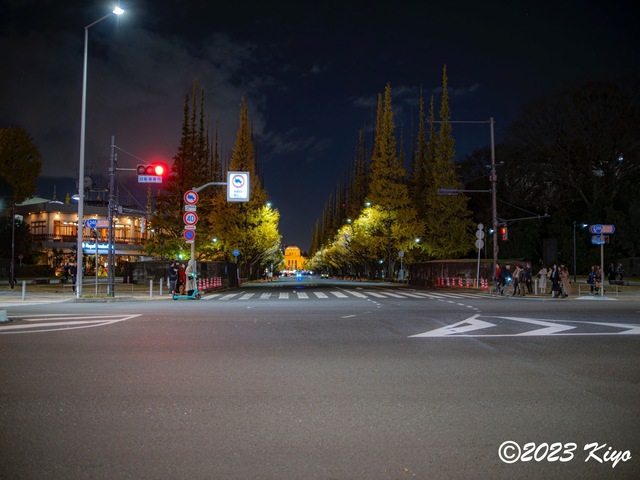 OC080460-ORF_DxO_DeepPRIMEXD_CameraRAW2_signed.jpg