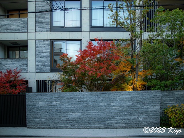 OC100497-ORF_DxO_DeepPRIMEXD_CameraRAW2_signed.jpg