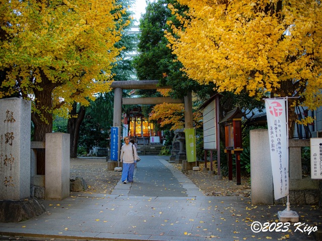 OC100504-ORF_DxO_DeepPRIMEXD_CameraRAW2_signed.jpg