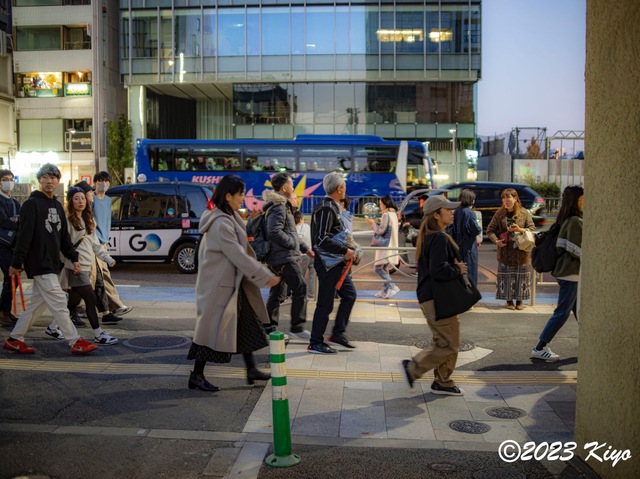 OC100526-ORF_DxO_DeepPRIMEXD_CameraRAW2_signed.jpg