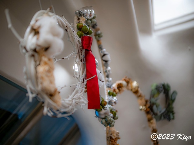 OC100536-ORF_DxO_DeepPRIMEXD_CameraRAW2_signed.jpg