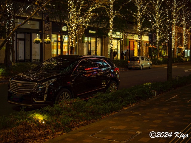 OC130564-ORF_DxO_DeepPRIMEXD_CameraRAW2_signed.jpg