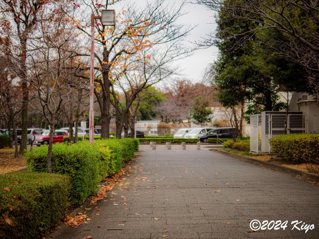 OC150839-ORF_DxO_DeepPRIMEXD_CameraRAW2_signed.jpg