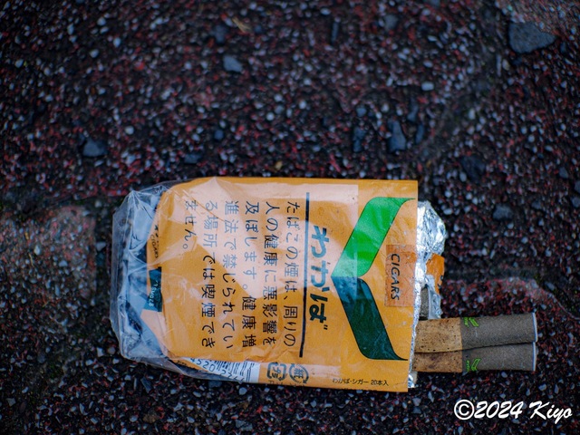 OC150845-ORF_DxO_DeepPRIMEXD_CameraRAW2_signed.jpg