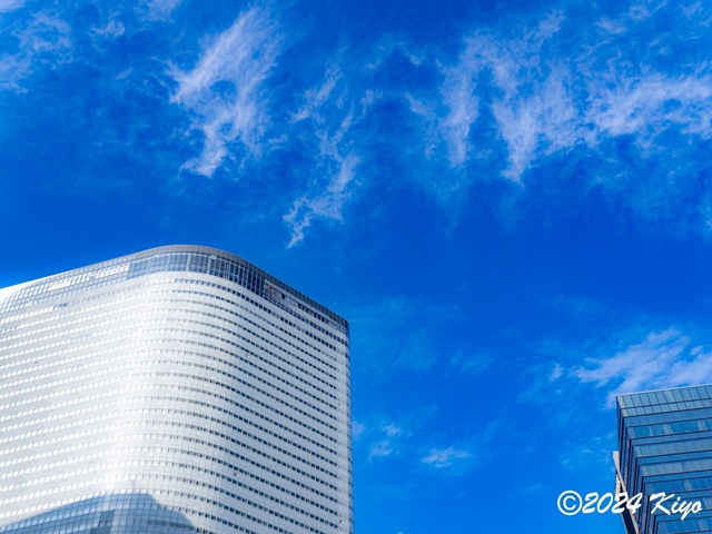 OC160874-ORF_DxO_DeepPRIMEXD_CameraRAW2_signed.jpg