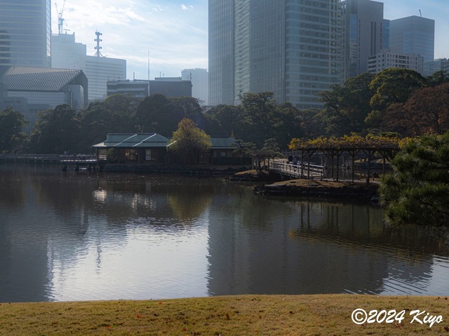 OC160879-ORF_DxO_DeepPRIMEXD_CameraRAW2_signed.jpg