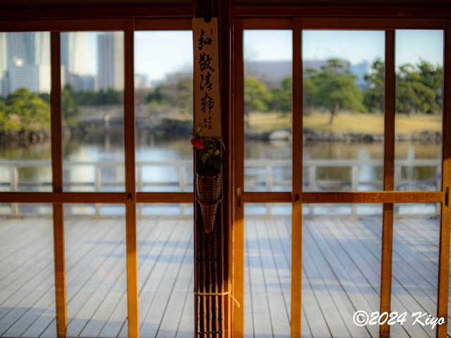 OC160889-ORF_DxO_DeepPRIMEXD_CameraRAW2_signed.jpg